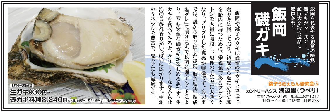 �傫���T�C�Y�̍L���摜